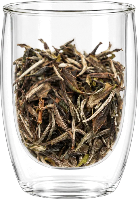 Dayong Mountain white tea: long brown-olive leaves and pale buds in a double-wall display cup