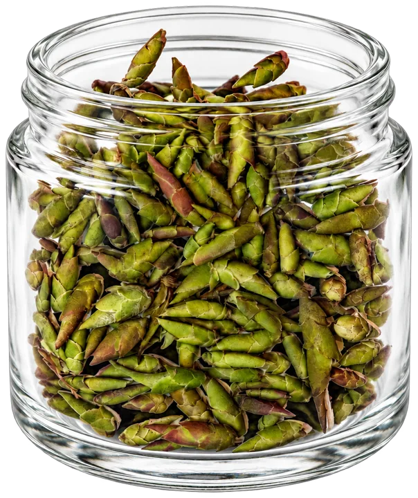 Dragon Claw tea buds in a glass display vessel