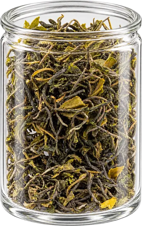 Georgian green tea leaves in a tall clear display canister